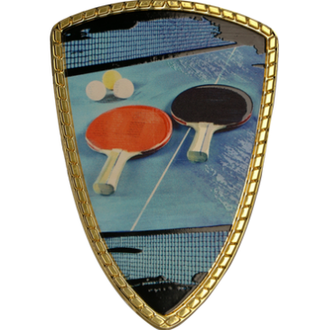 Úspech našich stolných tenistov