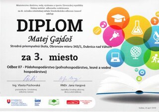 Diplom 