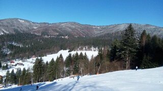 IMG_20150213_111131