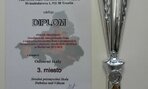 Diplom tsksutaze2016