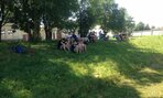 Img 0553
