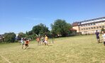 Img 0558