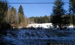 DSCN5684